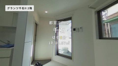 動画