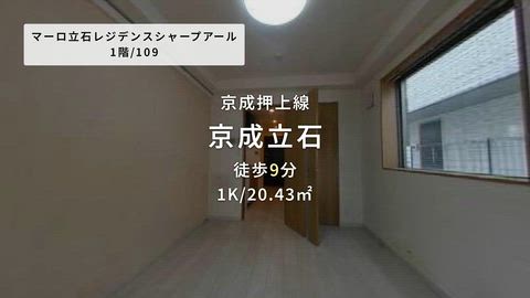 動画