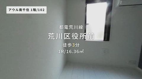動画