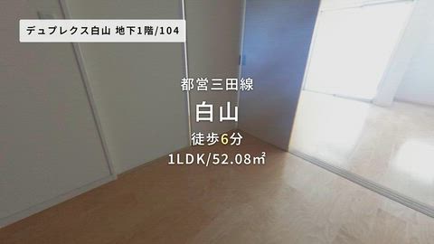 動画