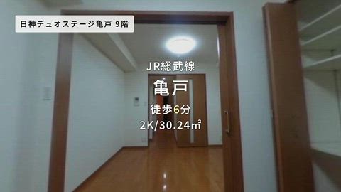 動画