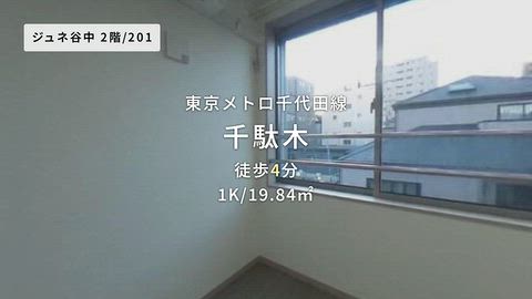 動画