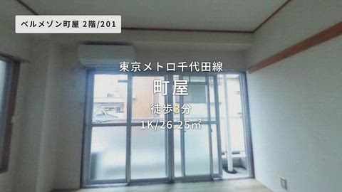 動画