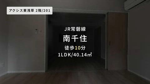 動画