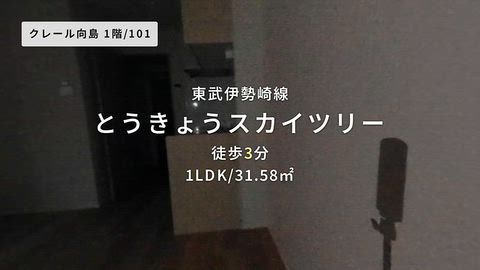 動画