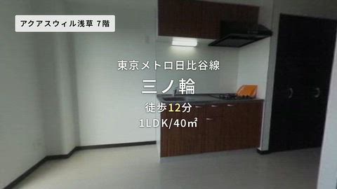 動画