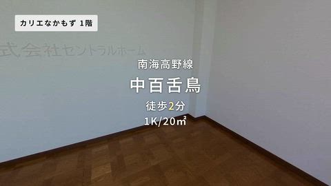 紹介ムービー