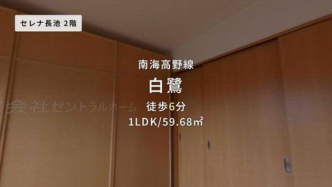 紹介ムービー