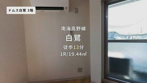動画