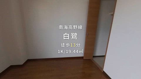 動画