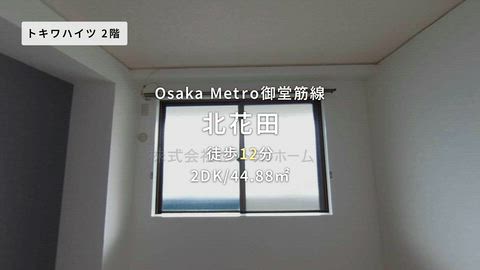 動画