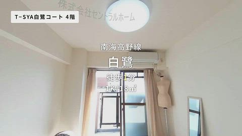 動画
