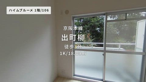 動画