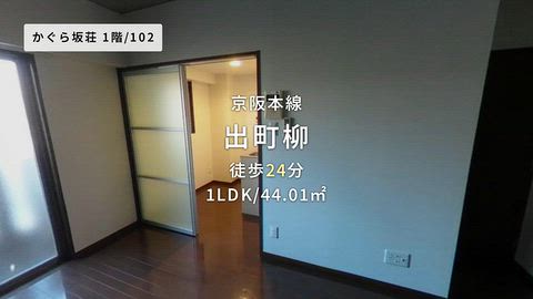 動画