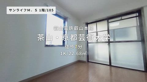 動画