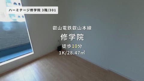 動画