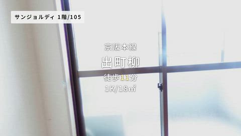 動画
