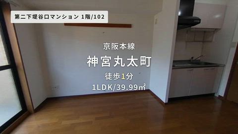 動画