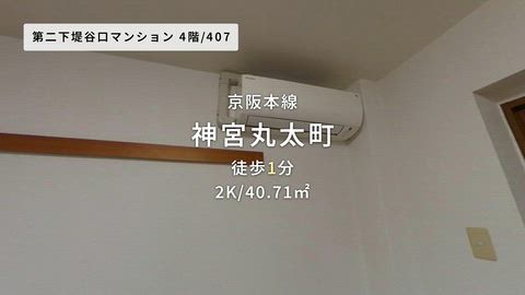 動画