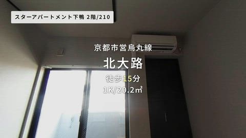 動画