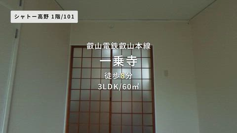 動画