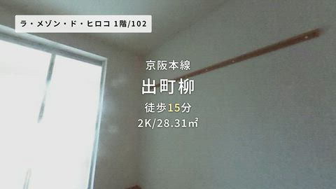 動画