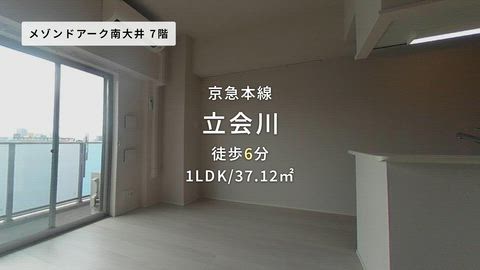動画