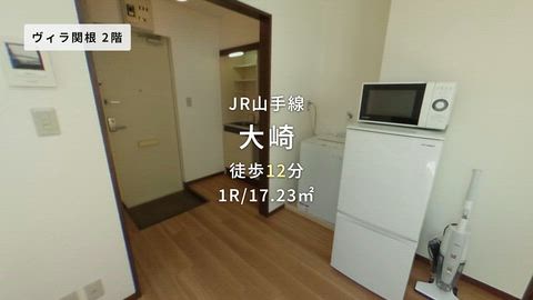 動画