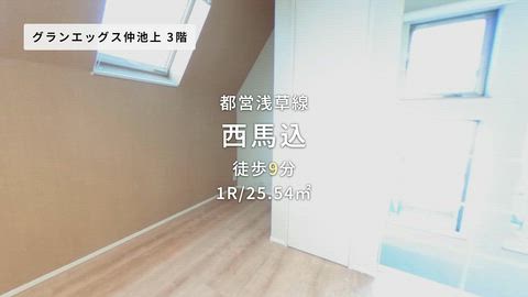 動画