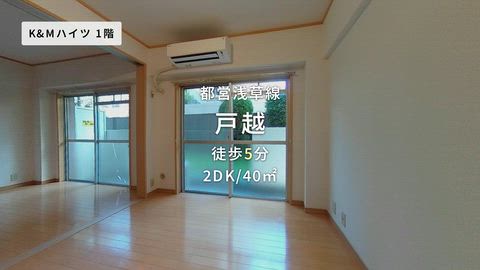動画