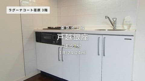 動画