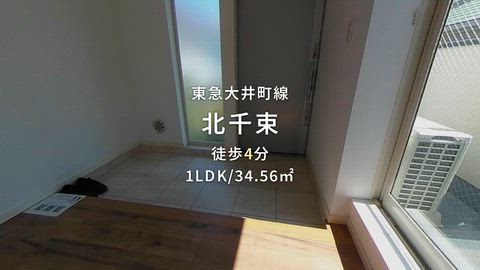 動画
