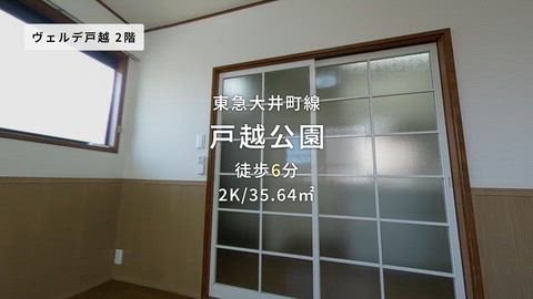 動画