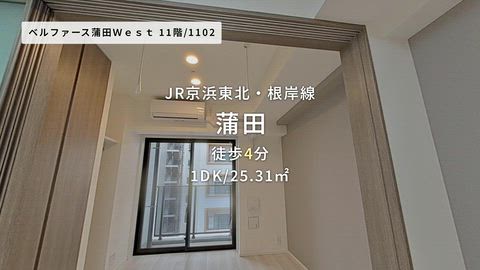 動画