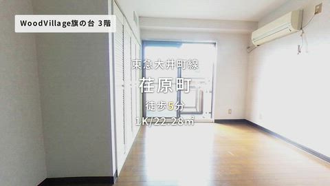 動画