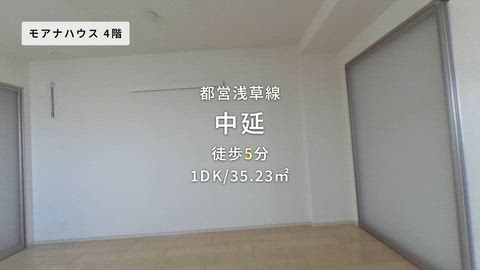 動画