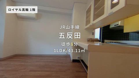 動画
