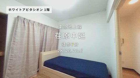 動画