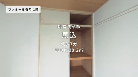 動画