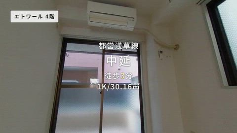 動画
