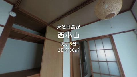 動画