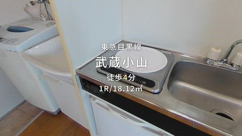 動画