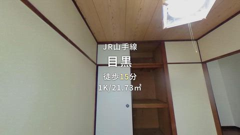 動画