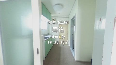 動画