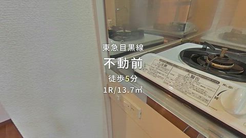 動画