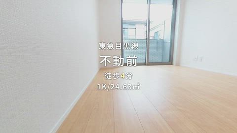 動画