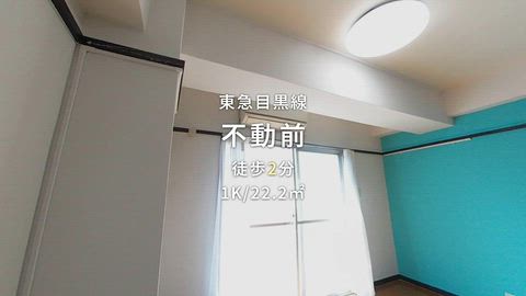動画