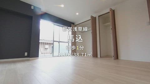 動画