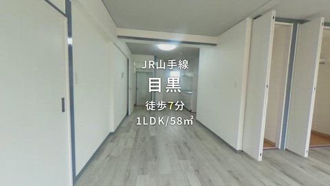 動画