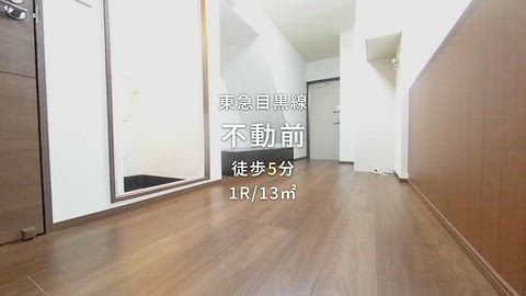 動画